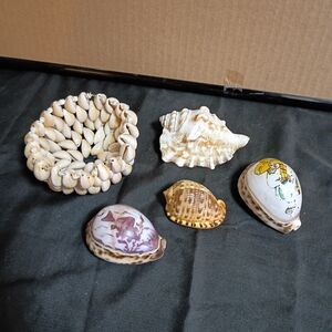 SEA SHELLS